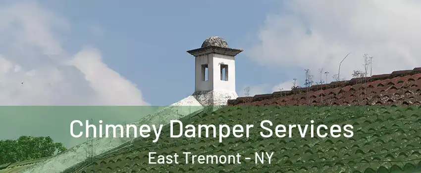 Chimney Damper Services East Tremont - NY