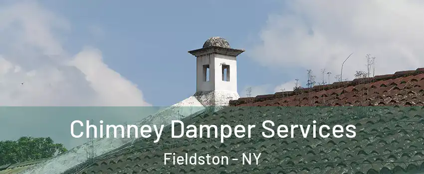 Chimney Damper Services Fieldston - NY