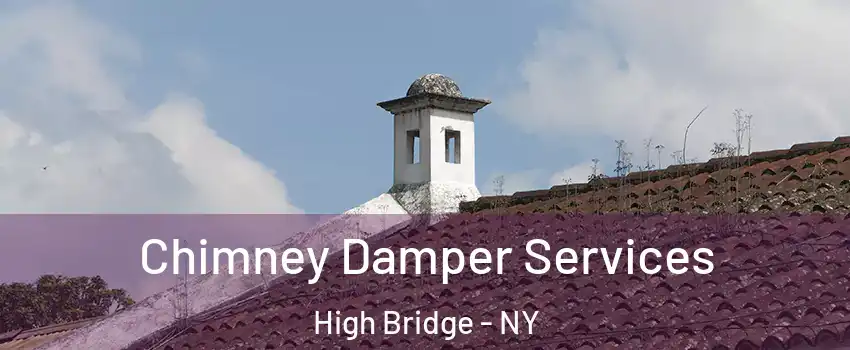 Chimney Damper Services High Bridge - NY