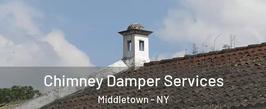 Chimney Damper Services Middletown - NY