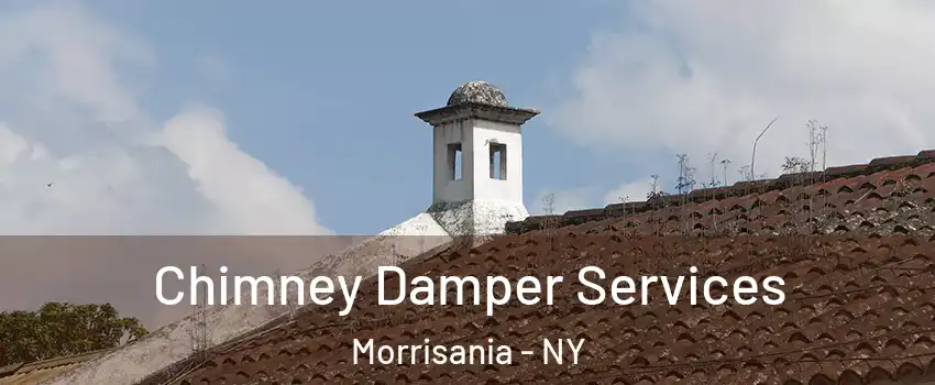 Chimney Damper Services Morrisania - NY