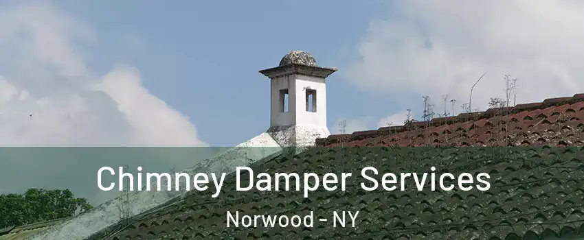 Chimney Damper Services Norwood - NY