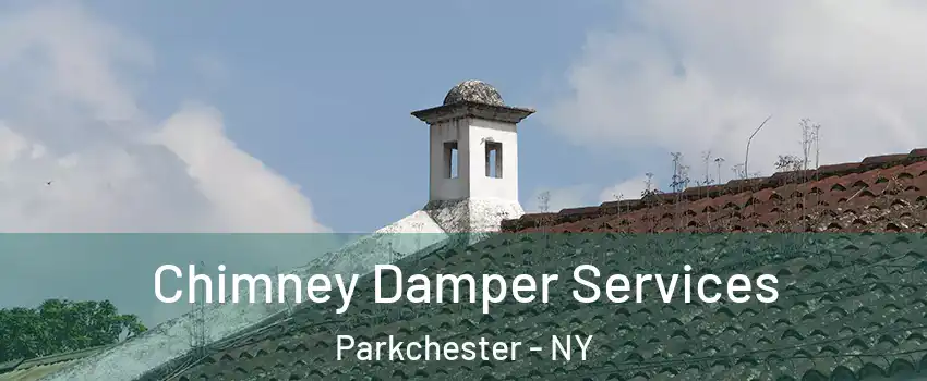 Chimney Damper Services Parkchester - NY