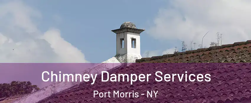 Chimney Damper Services Port Morris - NY