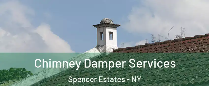 Chimney Damper Services Spencer Estates - NY