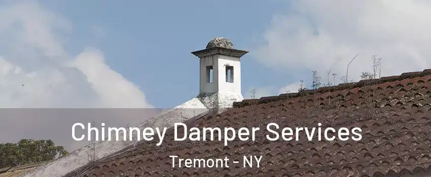 Chimney Damper Services Tremont - NY