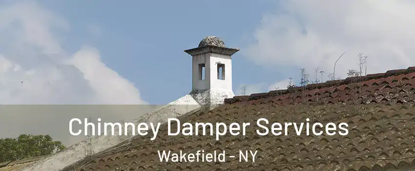 Chimney Damper Services Wakefield - NY