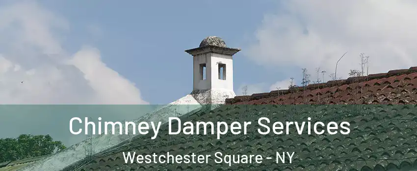 Chimney Damper Services Westchester Square - NY