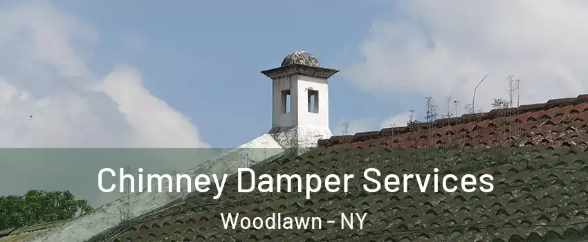 Chimney Damper Services Woodlawn - NY