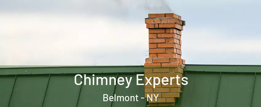 Chimney Experts Belmont - NY