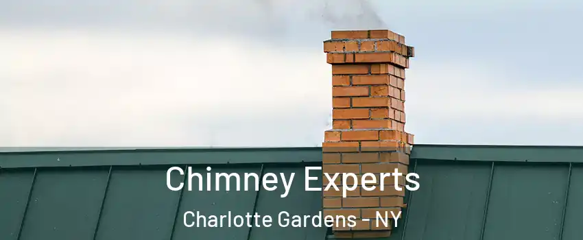 Chimney Experts Charlotte Gardens - NY