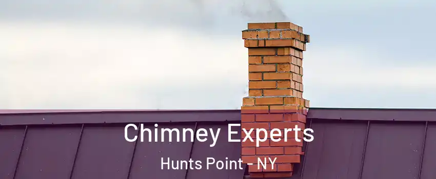 Chimney Experts Hunts Point - NY