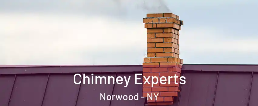 Chimney Experts Norwood - NY