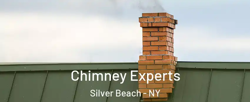 Chimney Experts Silver Beach - NY