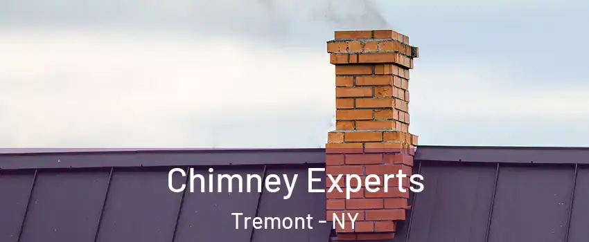 Chimney Experts Tremont - NY