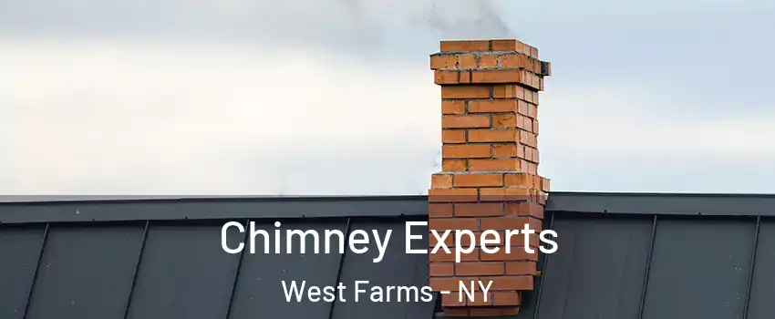 Chimney Experts West Farms - NY