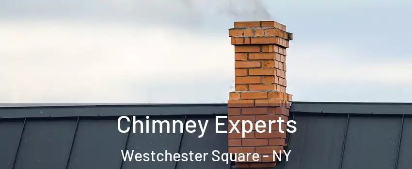 Chimney Experts Westchester Square - NY