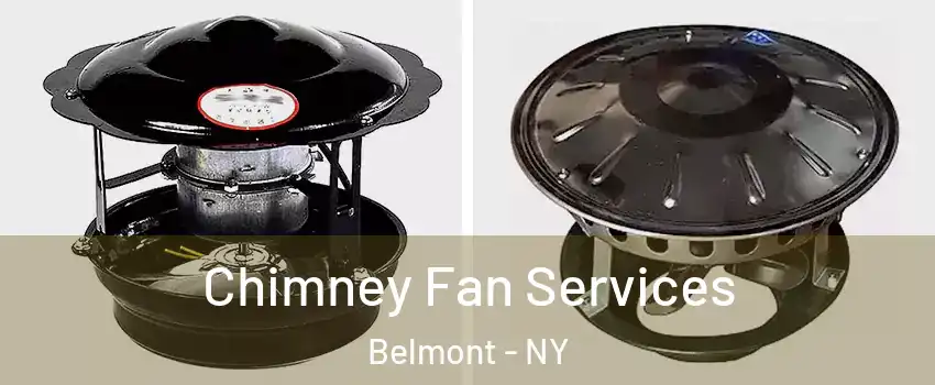 Chimney Fan Services Belmont - NY