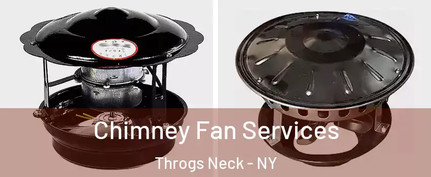 Chimney Fan Services Throgs Neck - NY