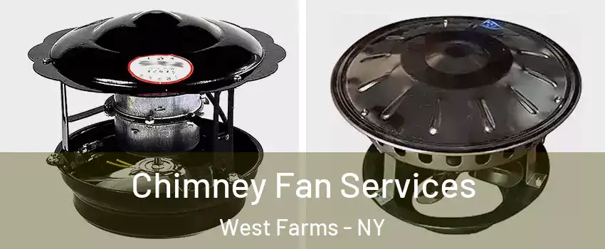 Chimney Fan Services West Farms - NY