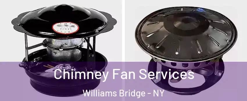 Chimney Fan Services Williams Bridge - NY