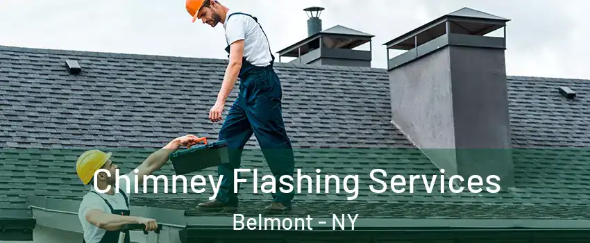 Chimney Flashing Services Belmont - NY