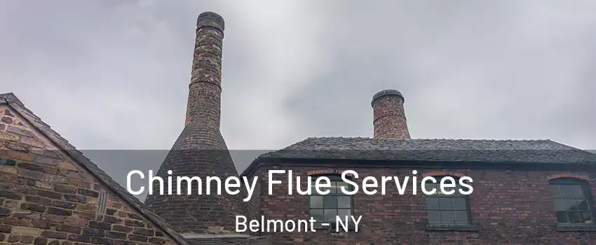 Chimney Flue Services Belmont - NY