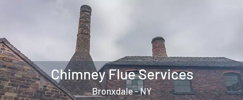 Chimney Flue Services Bronxdale - NY