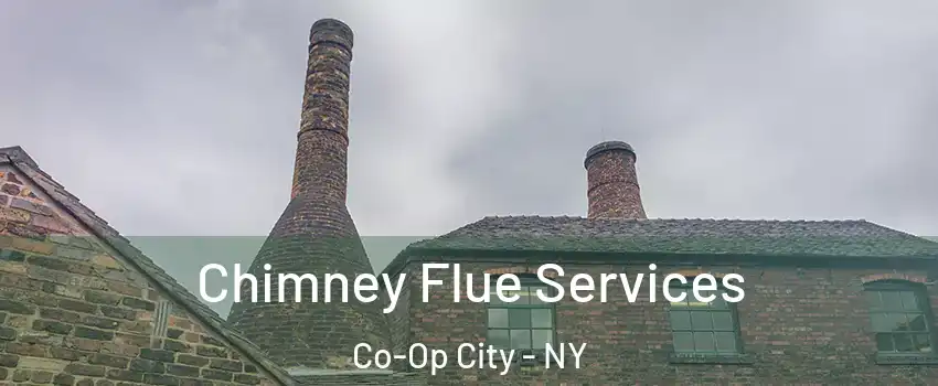 Chimney Flue Services Co-Op City - NY