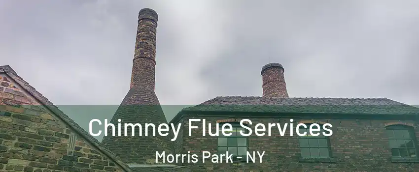 Chimney Flue Services Morris Park - NY