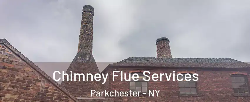 Chimney Flue Services Parkchester - NY