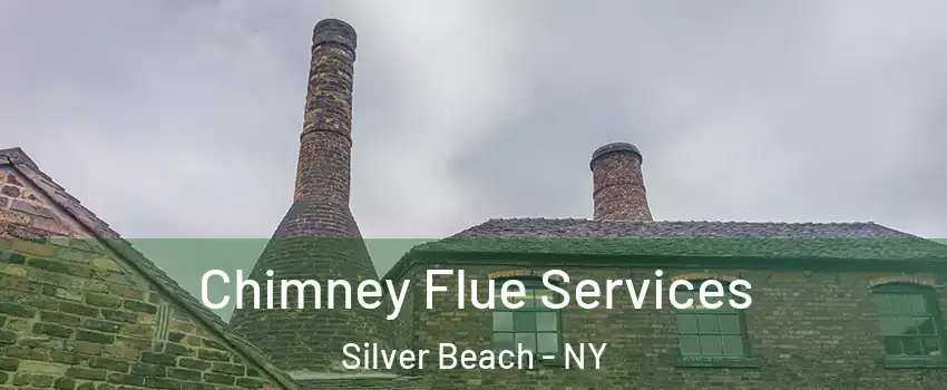 Chimney Flue Services Silver Beach - NY