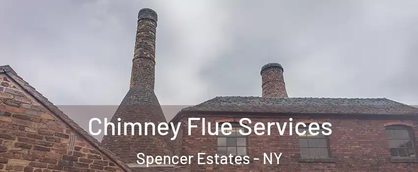 Chimney Flue Services Spencer Estates - NY