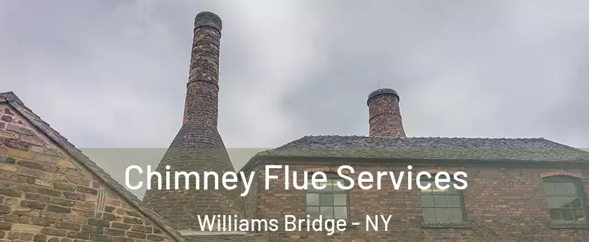 Chimney Flue Services Williams Bridge - NY