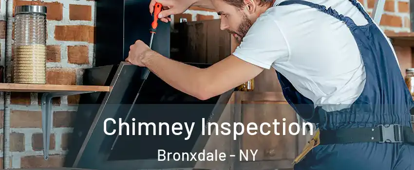 Chimney Inspection Bronxdale - NY