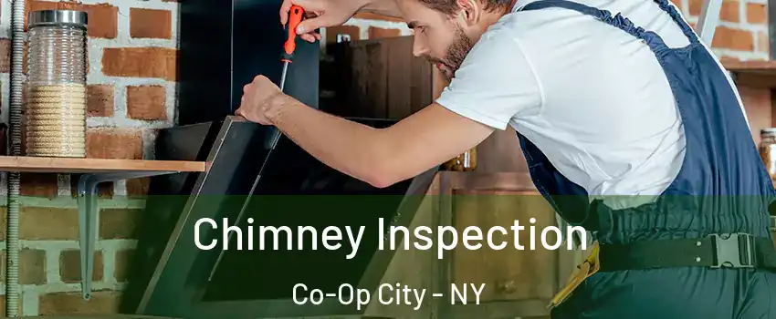 Chimney Inspection Co-Op City - NY