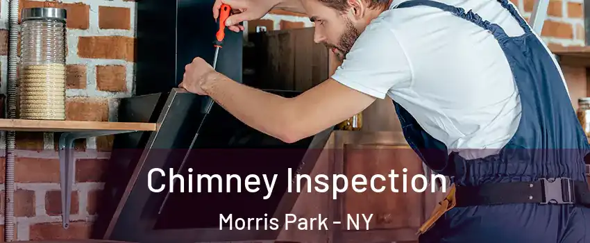 Chimney Inspection Morris Park - NY