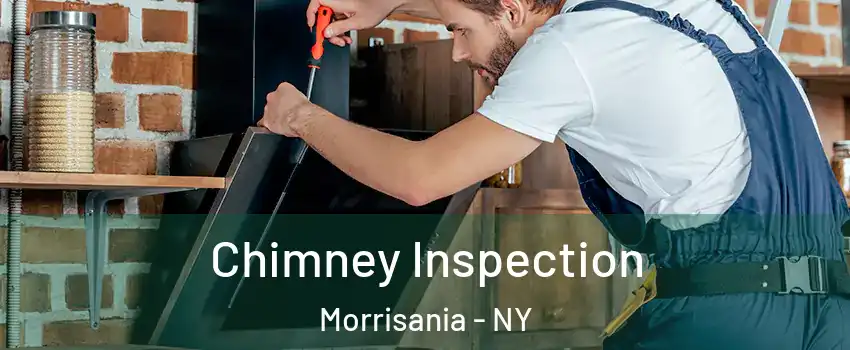 Chimney Inspection Morrisania - NY