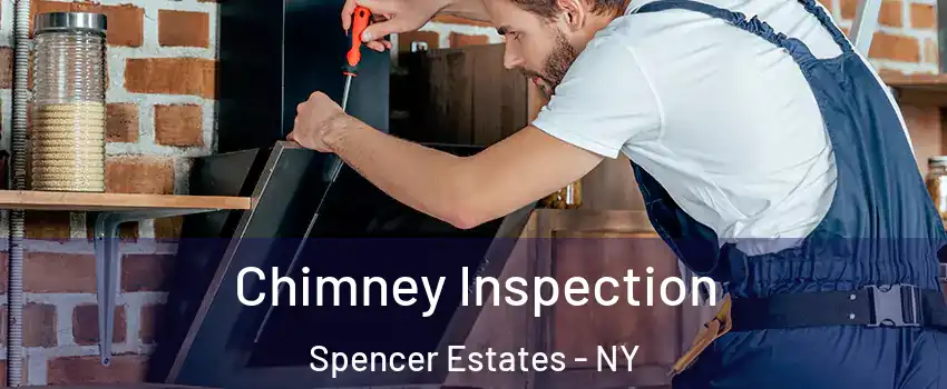 Chimney Inspection Spencer Estates - NY