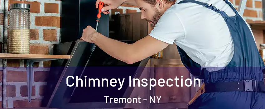 Chimney Inspection Tremont - NY