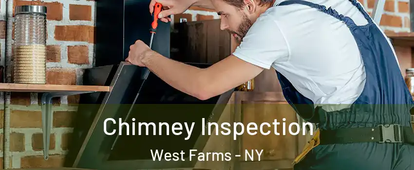 Chimney Inspection West Farms - NY