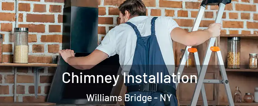 Chimney Installation Williams Bridge - NY