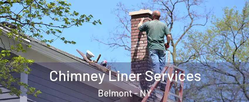 Chimney Liner Services Belmont - NY