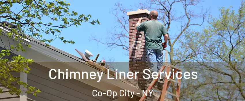 Chimney Liner Services Co-Op City - NY