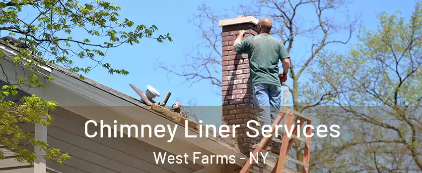 Chimney Liner Services West Farms - NY