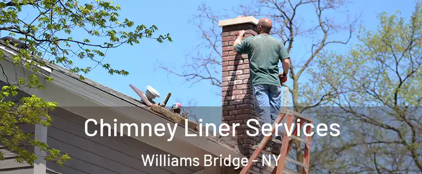 Chimney Liner Services Williams Bridge - NY