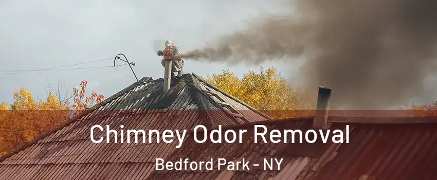 Chimney Odor Removal Bedford Park - NY