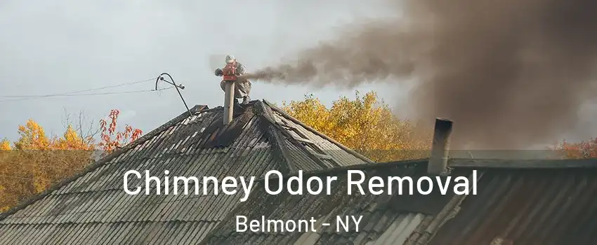 Chimney Odor Removal Belmont - NY