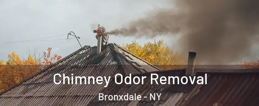 Chimney Odor Removal Bronxdale - NY