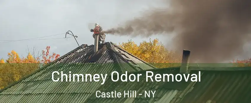 Chimney Odor Removal Castle Hill - NY